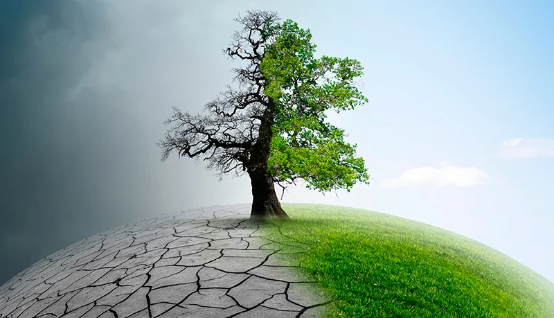 Consecuencias Cambio Climatico